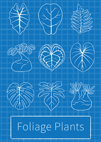 Foliage Plants 2