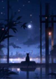 In the night