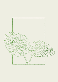 Monstera*