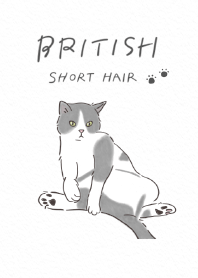 ブリテッシュショート/寝ころび猫