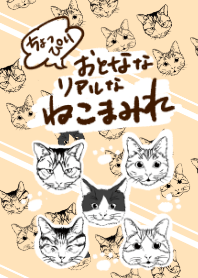 ちょっぴり おとなな リアルな ねこまみれ