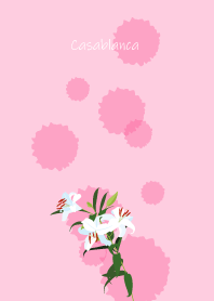 November's birth flower,Casablanca