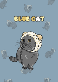 bluecat2 / pale blue