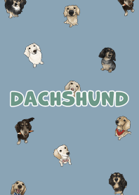 dachshund6 / pale blue
