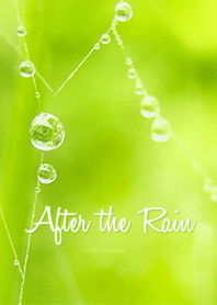 OOS: After the Rain