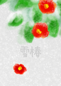 雪椿＠冬特集