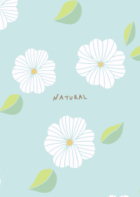 Flower large flower cute30 from Japan