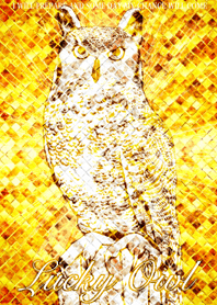 Rise in luck Lucky Owl