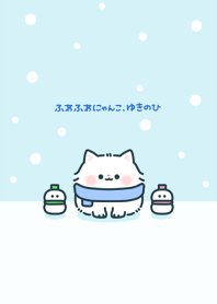 fluffy little cat and snow
