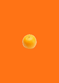 오렌지 주황색 Fruits Color