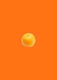橙色 オレンジ Fruits Color