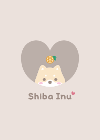 Shiba Inu2 Orange - beige