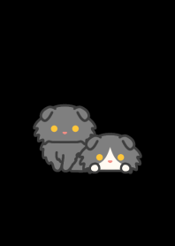 Black Fold Cat*darkmode*long-haired*