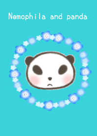 ネモフィラとぱんだ。