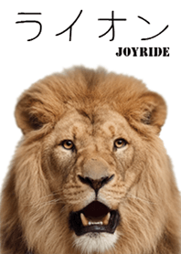 Lion 2