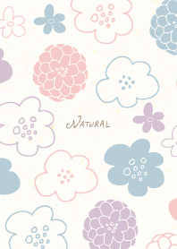 Colorful round flowers20 from Japan