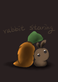 rabbit staring - a sense - 2