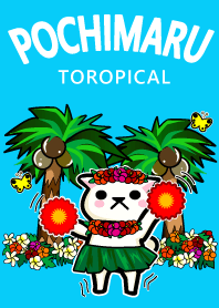 POCHIMARU tropical HAWAII #fresh