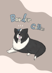 Fluffy Border Collie Chic &Natural