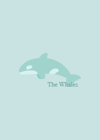 鯨魚