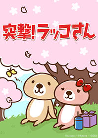 突撃！ラッコさん ラブラブお花見編