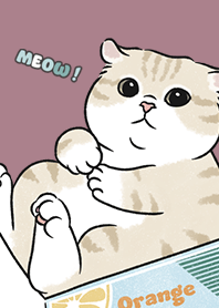 neko single17 / dark rose