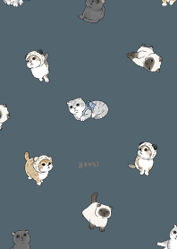 neko combo1 / dark steel blue