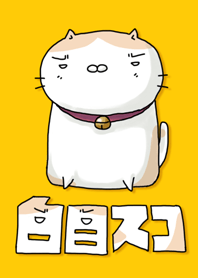 White-eyes-cat
