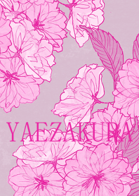 YAEZAKURA theme