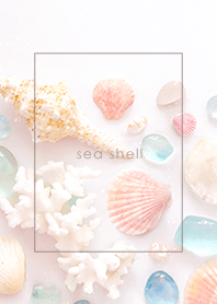 Sea Shell ୫ 003 ベージュ