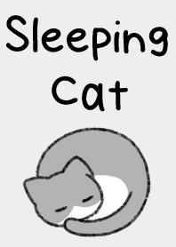 Sleeping cat 05