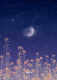 Spring flower and starry night