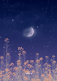 春の花と星空