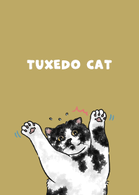 tuxedocat2 - ginger