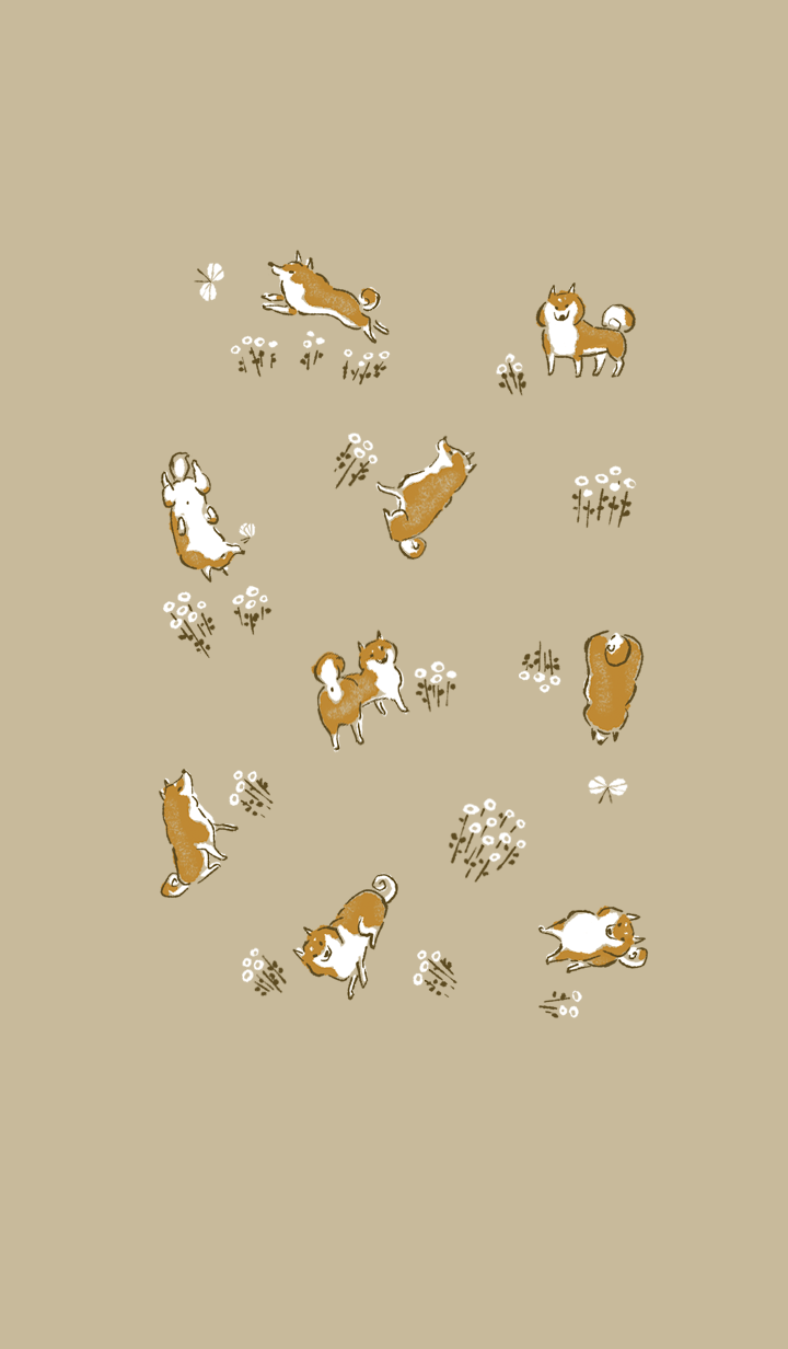 Happy days of Shiba Inu (Japanese dog) 2
