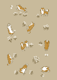 Shiba Inu（日本狗）的快樂時光 2