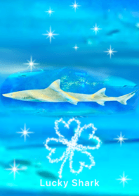 lucky shark Shiny Clover