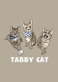 tabbycat2 / khaki