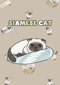 siamesecat7 - tan