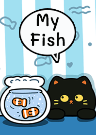 Black Cat Look Fish In Blue Beige!