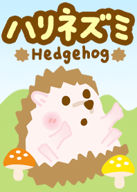 ハリネズミ