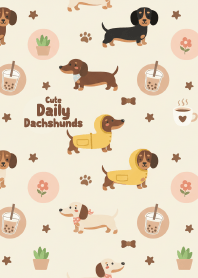 Cute Daily Dachshunds