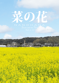 Yellow flower*