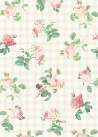 ลายสก็อตกุหลาบ13