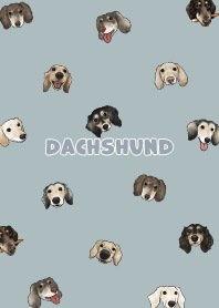 dachshund4 / mist blue