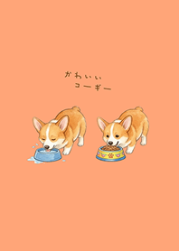 My adorable Corgi(Light orange)
