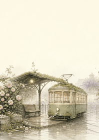 Moss Tram Camellia Rain Station