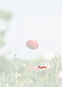 Poppy Theme ver.Japan 3