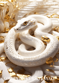 Golden Lucky White Snake 18