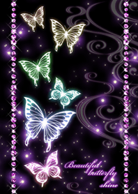 Beautiful butterfly shine